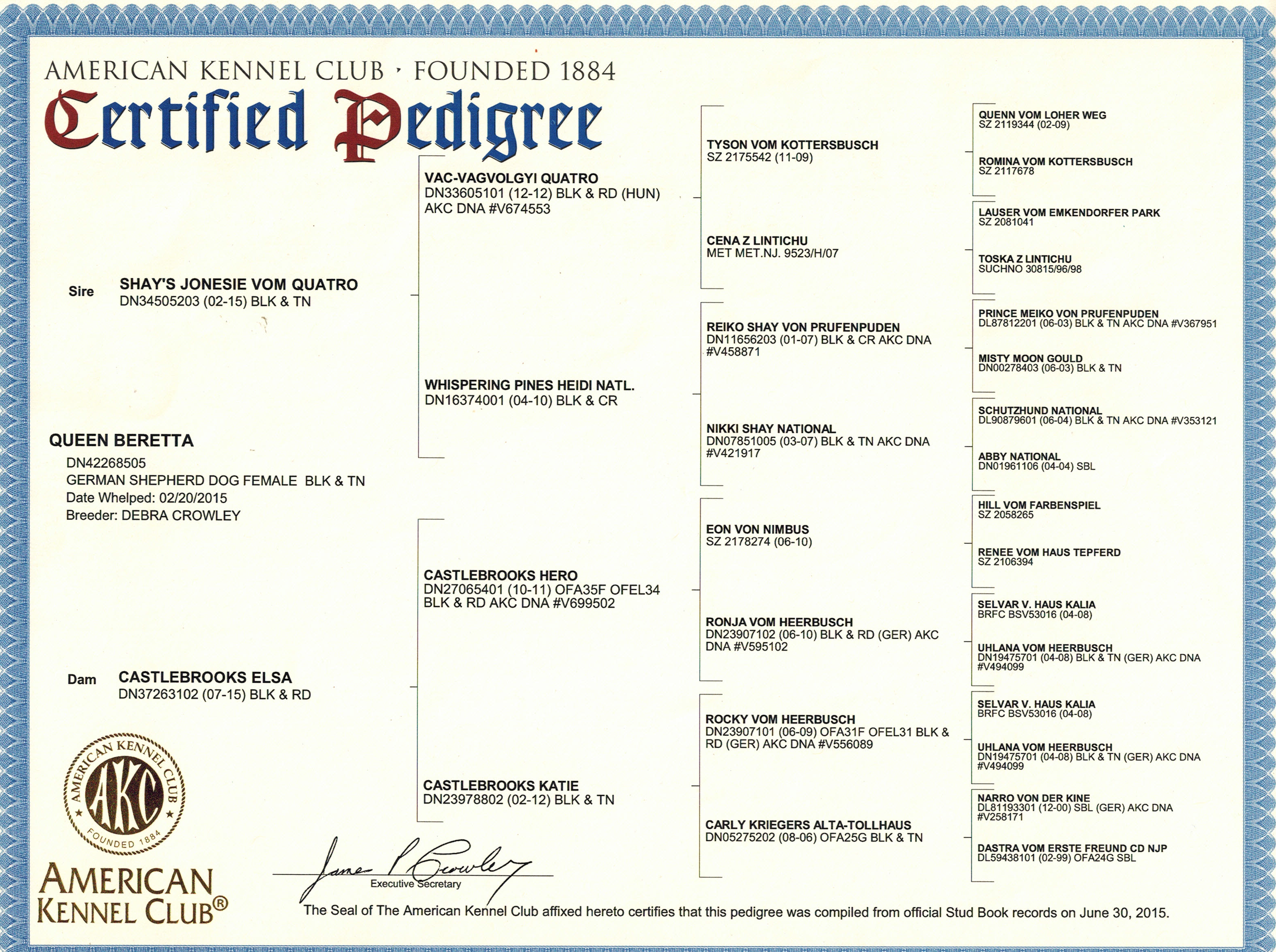 Beretta's Pedigree